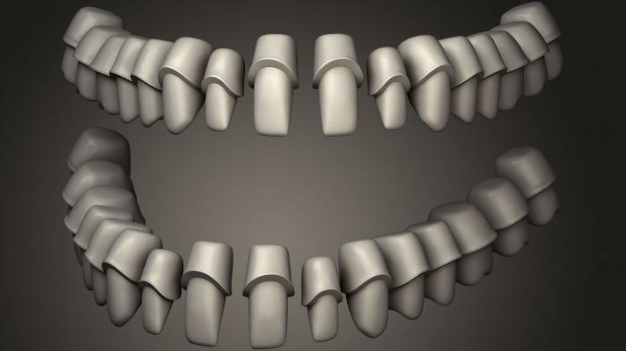 نموذج ثلاثي الأبعاد لآلة CNC تشريح الهياكل العظمية والجماجم مكتبة أزور لطب الأسنان مع تيجان كشتبان 1