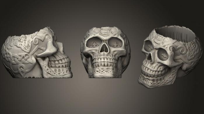 Anatomy of skeletons and skulls (ANTM_0345) 3D model for CNC machine