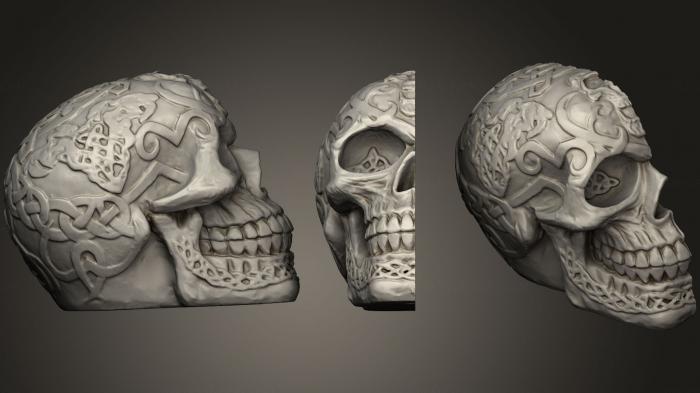 Anatomy of skeletons and skulls (ANTM_0347) 3D model for CNC machine