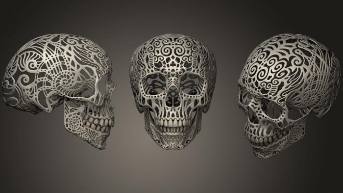Anatomy of skeletons and skulls (ANTM_0367) 3D model for CNC machine