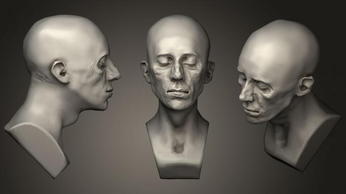 Anatomy of skeletons and skulls (ANTM_0387) 3D model for CNC machine
