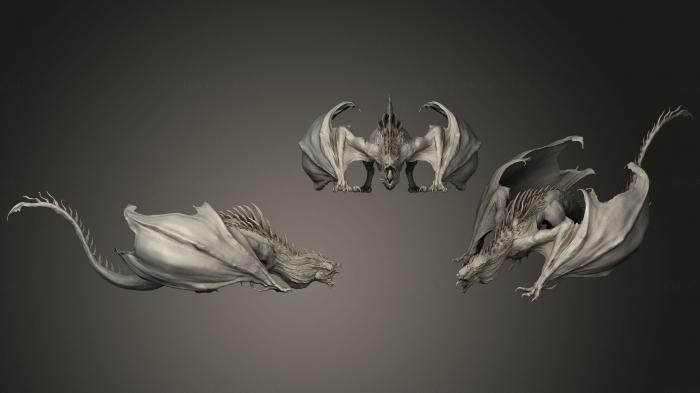 Anatomy of skeletons and skulls (ANTM_0394) 3D model for CNC machine
