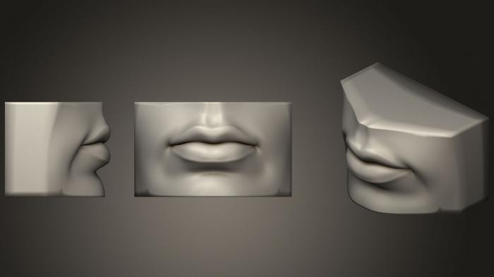 نموذج ثلاثي الأبعاد لآلة CNC تشريح الهياكل العظمية والجماجم مرجع عين الفم والأنف البشري 1