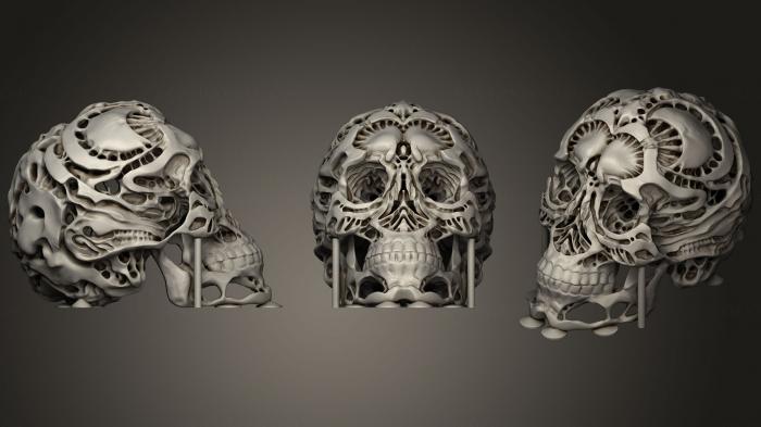Anatomy of skeletons and skulls (ANTM_0737) 3D model for CNC machine