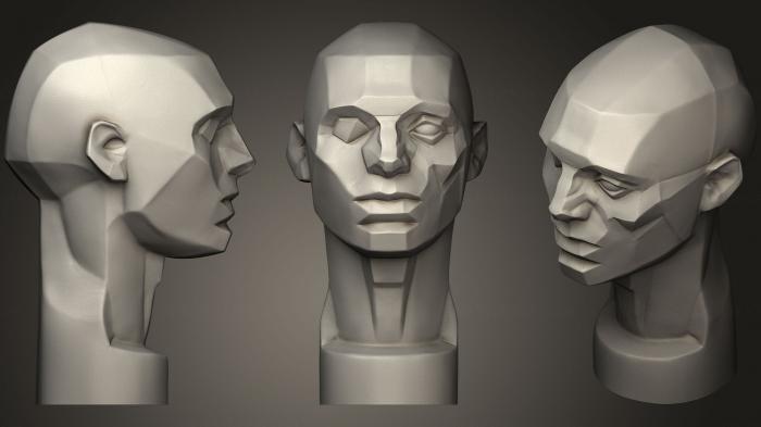 Anatomy of skeletons and skulls (ANTM_0745) 3D model for CNC machine