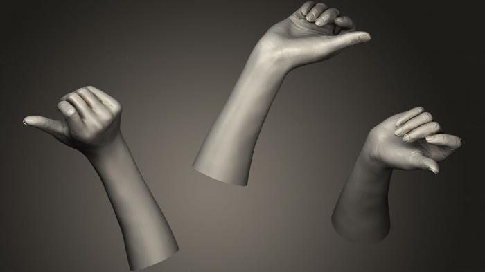 نموذج ثلاثي الأبعاد لآلة CNC تشريح الهياكل العظمية والجماجم يد أنثى واقعية 4