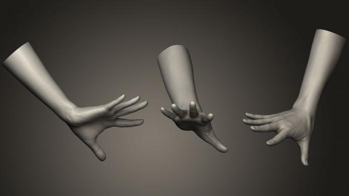 نموذج ثلاثي الأبعاد لآلة CNC تشريح الهياكل العظمية والجماجم يد أنثى واقعية 7