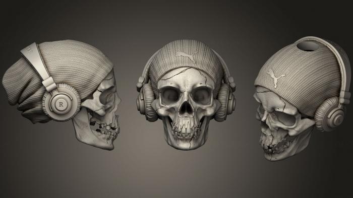 Anatomy of skeletons and skulls (ANTM_1017) 3D model for CNC machine