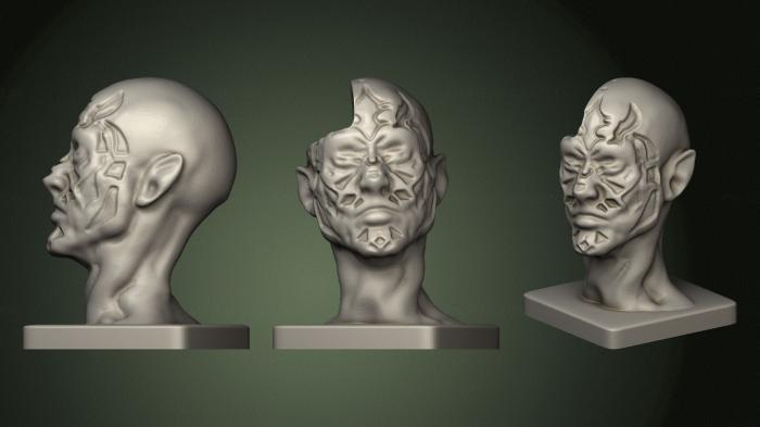Anatomy of skeletons and skulls (ANTM_1331) 3D model for CNC machine