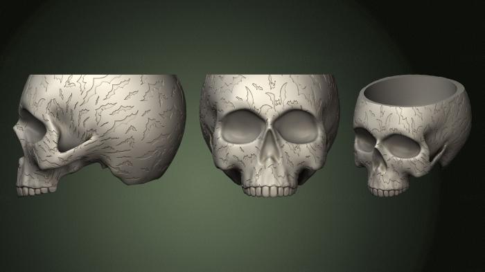 Anatomy of skeletons and skulls (ANTM_1355) 3D model for CNC machine