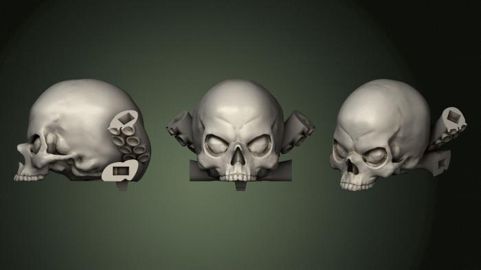 Anatomy of skeletons and skulls (ANTM_1370) 3D model for CNC machine
