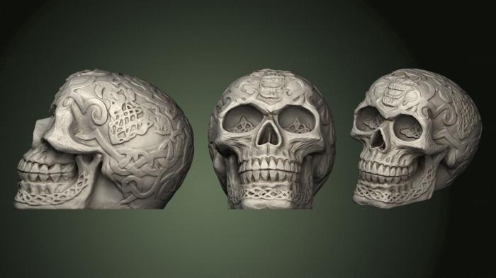 Anatomy of skeletons and skulls (ANTM_1374) 3D model for CNC machine