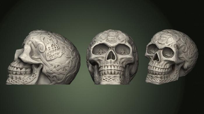 Anatomy of skeletons and skulls (ANTM_1375) 3D model for CNC machine