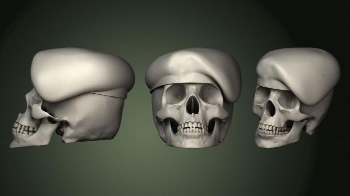 Anatomy of skeletons and skulls (ANTM_1385) 3D model for CNC machine
