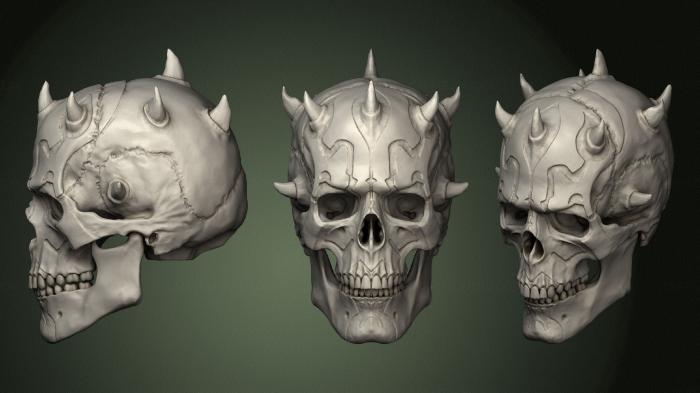 Anatomy of skeletons and skulls (ANTM_1394) 3D model for CNC machine