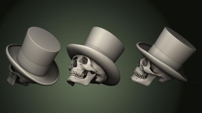 Anatomy of skeletons and skulls (ANTM_1457) 3D model for CNC machine