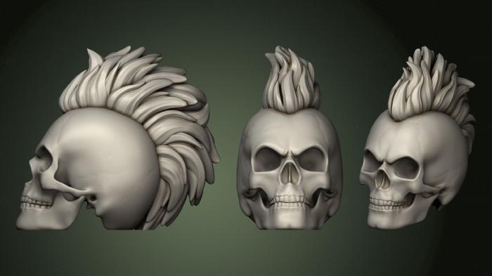 Anatomy of skeletons and skulls (ANTM_1507) 3D model for CNC machine