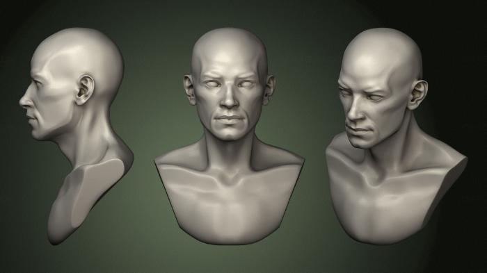 Anatomy of skeletons and skulls (ANTM_1539) 3D model for CNC machine