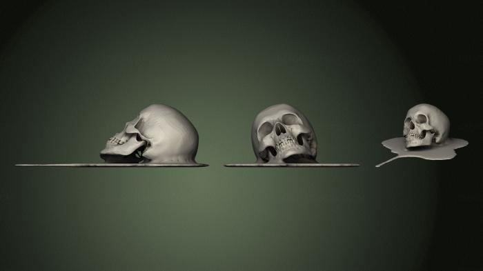Anatomy of skeletons and skulls (ANTM_1549) 3D model for CNC machine