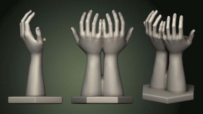 Anatomy of skeletons and skulls (ANTM_1551) 3D model for CNC machine