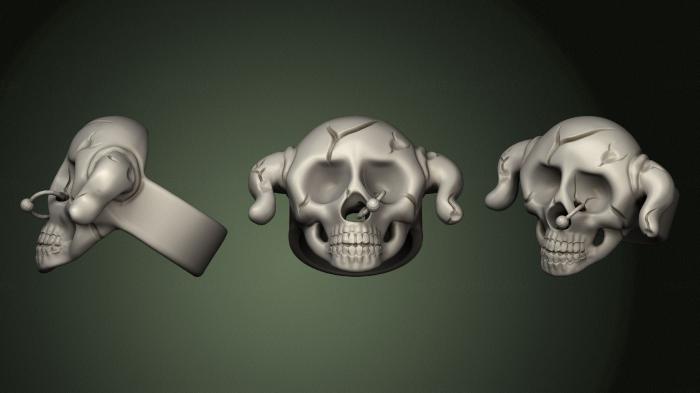 Anatomy of skeletons and skulls (ANTM_1562) 3D model for CNC machine