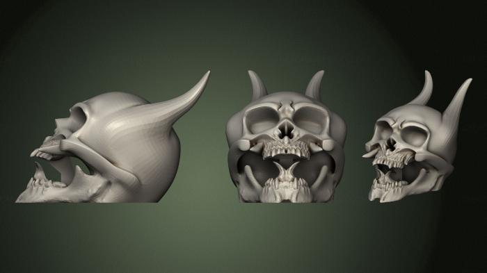 Anatomy of skeletons and skulls (ANTM_1567) 3D model for CNC machine