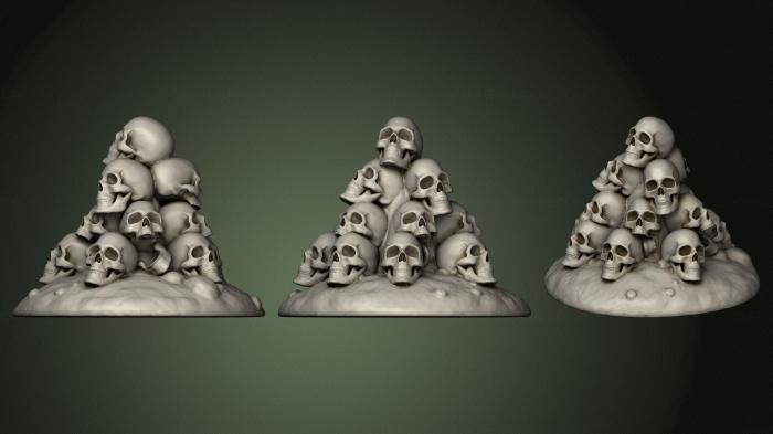 Anatomy of skeletons and skulls (ANTM_1576) 3D model for CNC machine