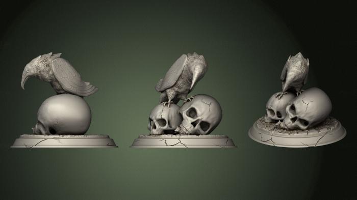 Anatomy of skeletons and skulls (ANTM_1588) 3D model for CNC machine
