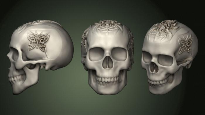 Anatomy of skeletons and skulls (ANTM_1606) 3D model for CNC machine