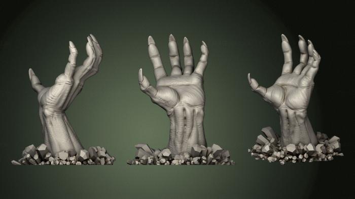 Anatomy of skeletons and skulls (ANTM_1622) 3D model for CNC machine
