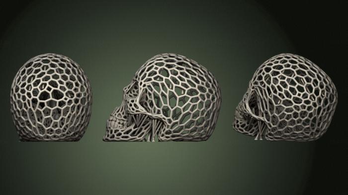 Anatomy of skeletons and skulls (ANTM_1628) 3D model for CNC machine