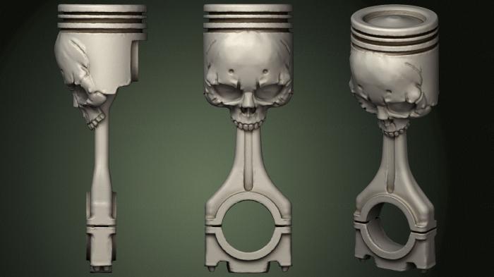 Anatomy of skeletons and skulls (ANTM_1656) 3D model for CNC machine