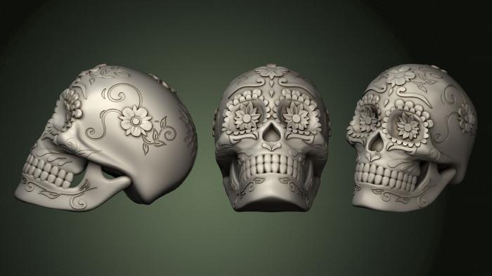 Anatomy of skeletons and skulls (ANTM_1683) 3D model for CNC machine