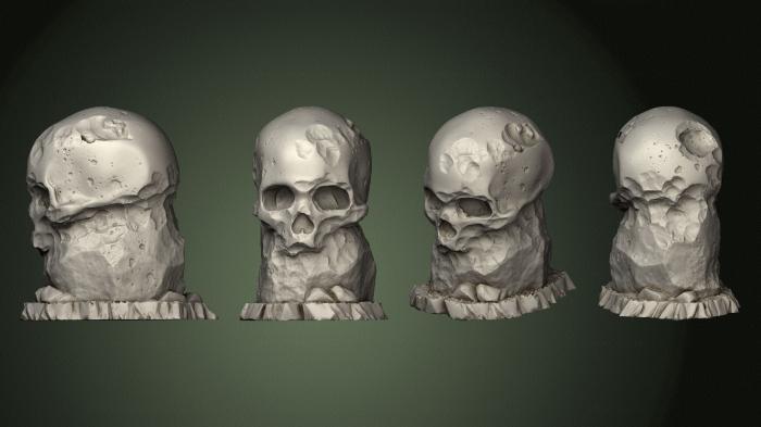 Anatomy of skeletons and skulls (ANTM_1749) 3D model for CNC machine