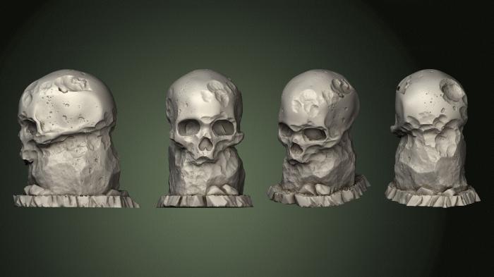 Anatomy of skeletons and skulls (ANTM_1753) 3D model for CNC machine