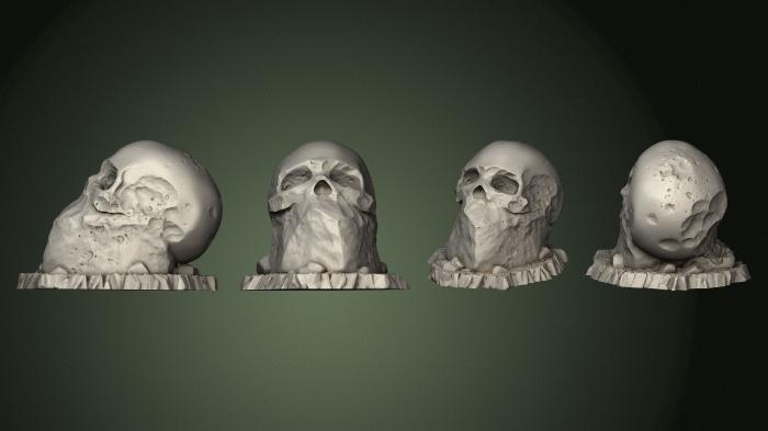 Anatomy of skeletons and skulls (ANTM_1755) 3D model for CNC machine