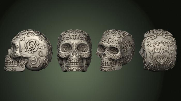 Anatomy of skeletons and skulls (ANTM_1758) 3D model for CNC machine