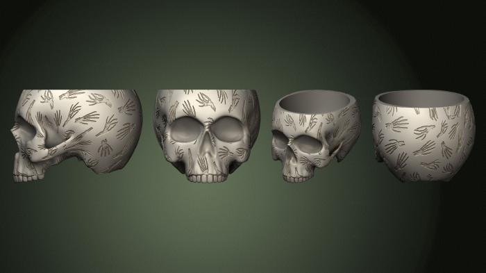Anatomy of skeletons and skulls (ANTM_1761) 3D model for CNC machine