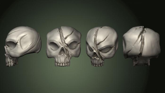 Anatomy of skeletons and skulls (ANTM_1773) 3D model for CNC machine