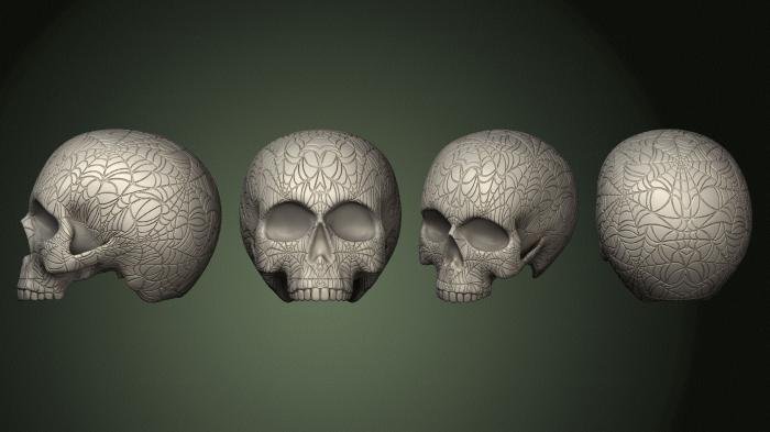 Anatomy of skeletons and skulls (ANTM_1778) 3D model for CNC machine