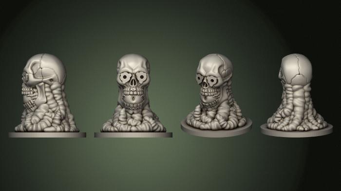 Anatomy of skeletons and skulls (ANTM_1782) 3D model for CNC machine