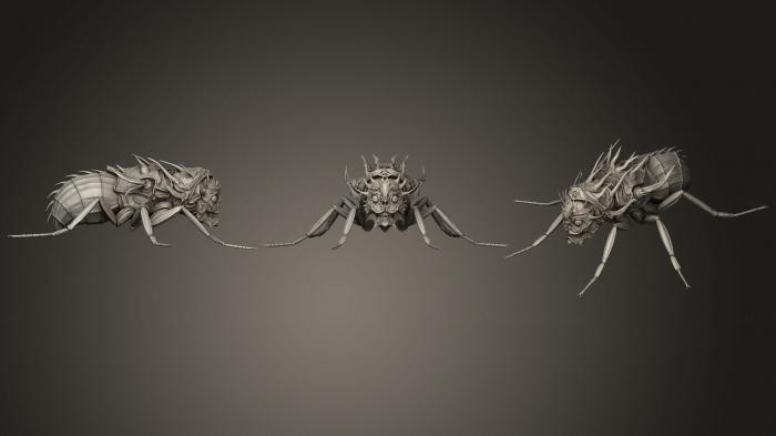 نموذج ثلاثي الأبعاد لآلة CNC الحشرات جمجمة بشرية تطير بلا أجنحة!