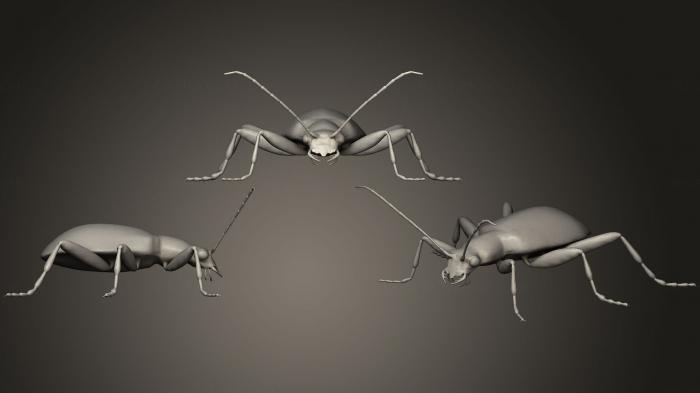 Insects (INSCT_0017) 3D model for CNC machine