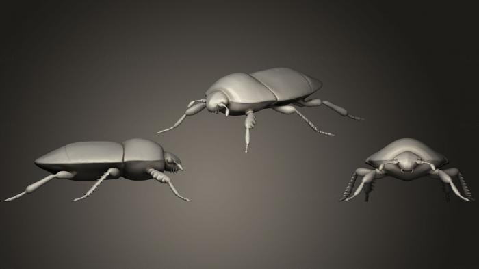 Insects (INSCT_0024) 3D model for CNC machine