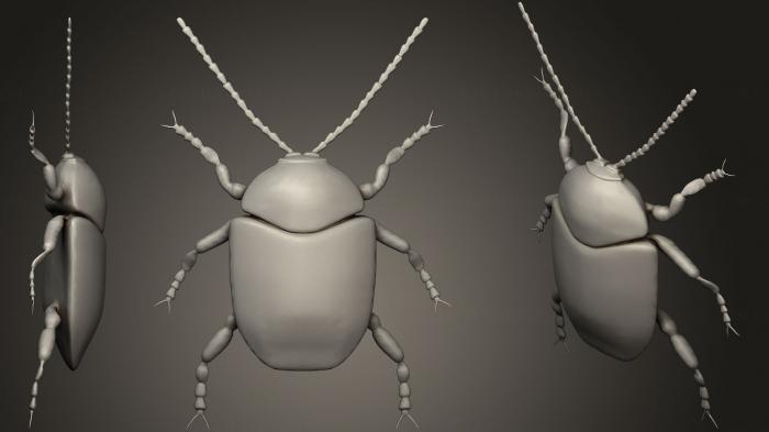 Insects (INSCT_0031) 3D model for CNC machine