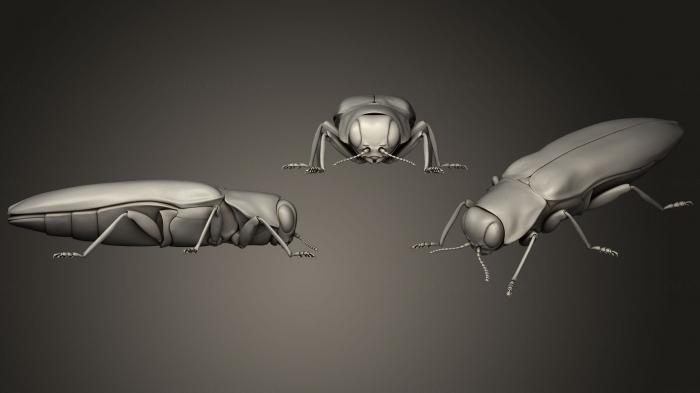 نموذج ثلاثي الأبعاد لآلة CNC الحشرات 1067