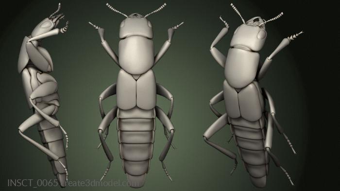 Insects (INSCT_0065) 3D model for CNC machine