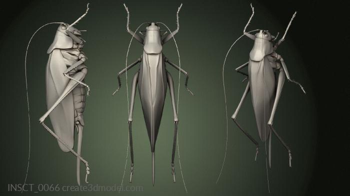 Insects (INSCT_0066) 3D model for CNC machine
