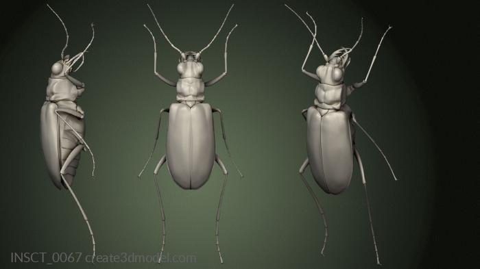 Insects (INSCT_0067) 3D model for CNC machine
