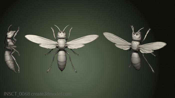 Insects (INSCT_0068) 3D model for CNC machine